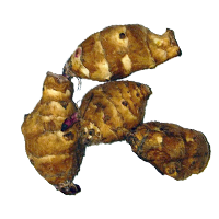 inulin